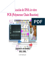 Amplificación de DNA: PCR (Polymerase Chain Reaction) : in Vitro