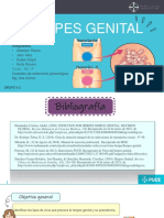 G2 Herpes - Genital