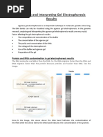 Analysing and Interpreting Gel Electrophoresis Results