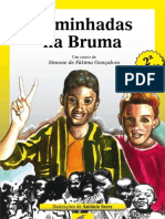 Caminhadas Na Bruma