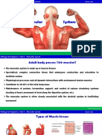1 Muscular System & Muscular Biopolymers