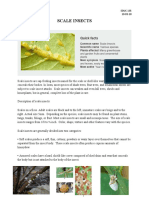 Scale Insects: Eden G. Aniversario EDUC 135 Bsed-Math 4 10-03-18