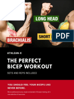 The Perfect Bicep Workout (2019)