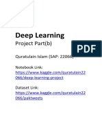 Deep Learning: Project Part (B)