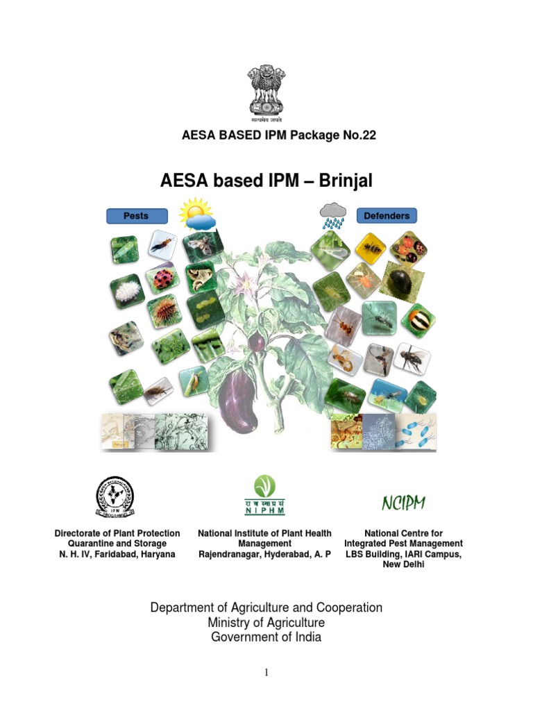 AESA Based IPM Brinjal (Final 24-02-2014) | PDF | Pest (Organism ...