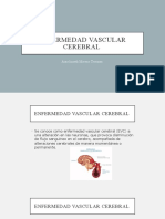 enfermedad vascular cerebeal