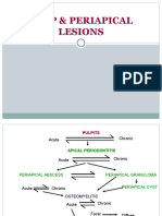 PULP AND PERIAPICAL LESIONS: A GUIDE