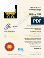 120 Hour TEFL Certificate Completion
