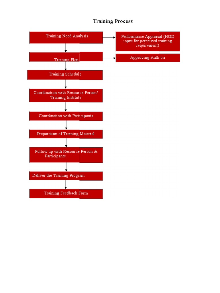 003 Training Process NEW | PDF