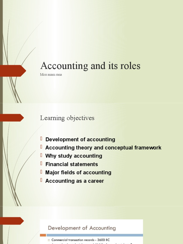 Understanding Accounting Roles and Careers | PDF | Financial Statement ...