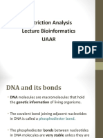 Restriction Analysis Lecture Bioinformatics Uaar