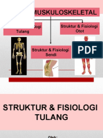 1.1.1 Struktur Dan Fisiologi Tulang