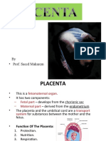 By - Prof. Saeed Makarem