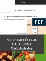 Macromoléculas Carbohidratos 2017-2 3
