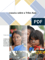 Tribo Awá Trabalho Mariana Botelho Machado Turma 41