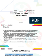 Taller Sistema Endocrino