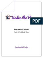 Under The Home: Fourth Grade Science