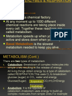 METABOLISM, ENZYMES & RESPIRATION EXPLAINED