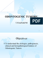 Y3 Oral Path P48