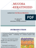 Lecture 2 Non Keratinizedmucosa Non Keratinocytes