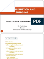 Lecture 2 Tooth Eruption and Shedding