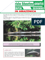 Amazonia 1