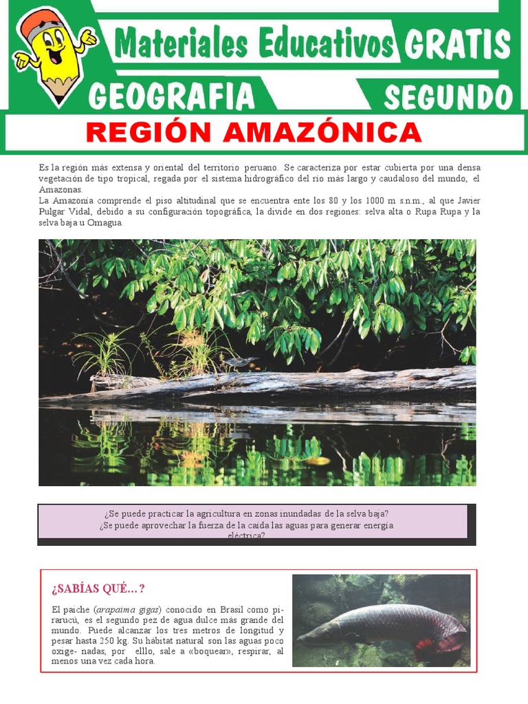 Geografía y relieve de la Amazonía | PDF | Selva amazónica | Geografía ...