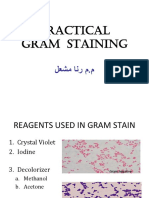 Gram Staining