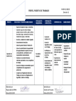 Perfil Puesto - Operador de Camion Grua