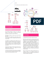 Mitosis y Meiosis