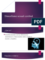 Dimorfismo Sexual Cerebral 2