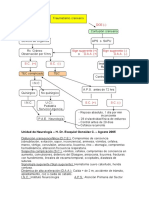 Flujograma Traumatismo Craneano