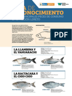 Guía de Reconocimiento de Los Principales Peces de Consumo en La Región Loreto