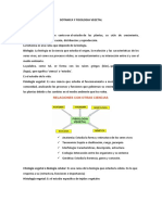 Botánica, fisiología y anatomía vegetal