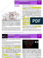 B R2 06 P 27 05 21 Estrongyloidosis