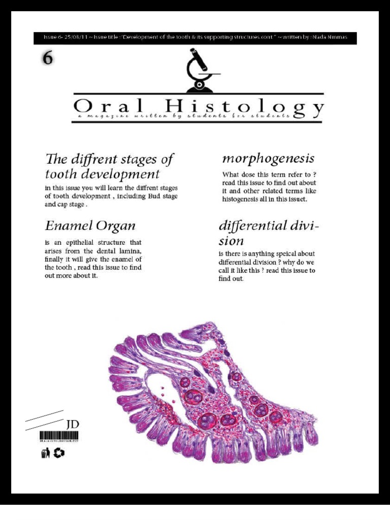 Oral Histology Lecture 6 | PDF | Tooth Enamel | Tooth