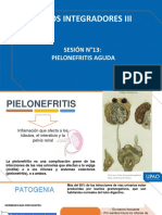 Diapositivas - Pielonefritis y Litiasis Coraliforme