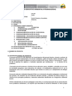 proyecto-educativo-ambiental-integradomodelo-sugerido-1_compress