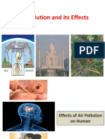 Air Pollution Effects