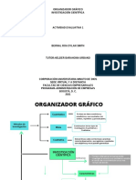 Organizador Grafico Dylan Bernal