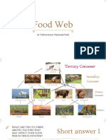 L8 Assignment - Food Web Model