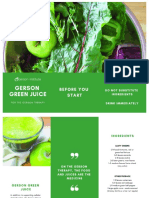 Gerson Green Juice