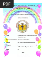 Responsabilidad social definición, tipos