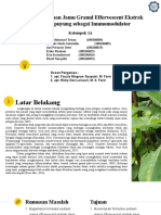 Kelompok 1A-Granul Effervescent Ekstrak Daun Tempuyung