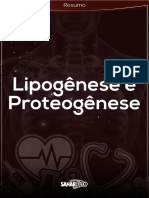 Lipogênese e Proteogênese: Síntese de Lipídios e Proteínas