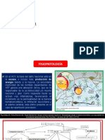 SEMINARIO-N1-ACCIDENTE-CEREBROVASCULAR