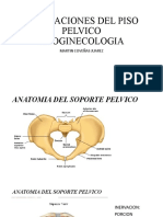 ALTERACIONES DEL PISO PELVICO (1)