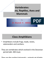 Vertebrates: Amphibians, Reptiles, Aves and Mammals: Dr. Nnamdi H. AMAEZE