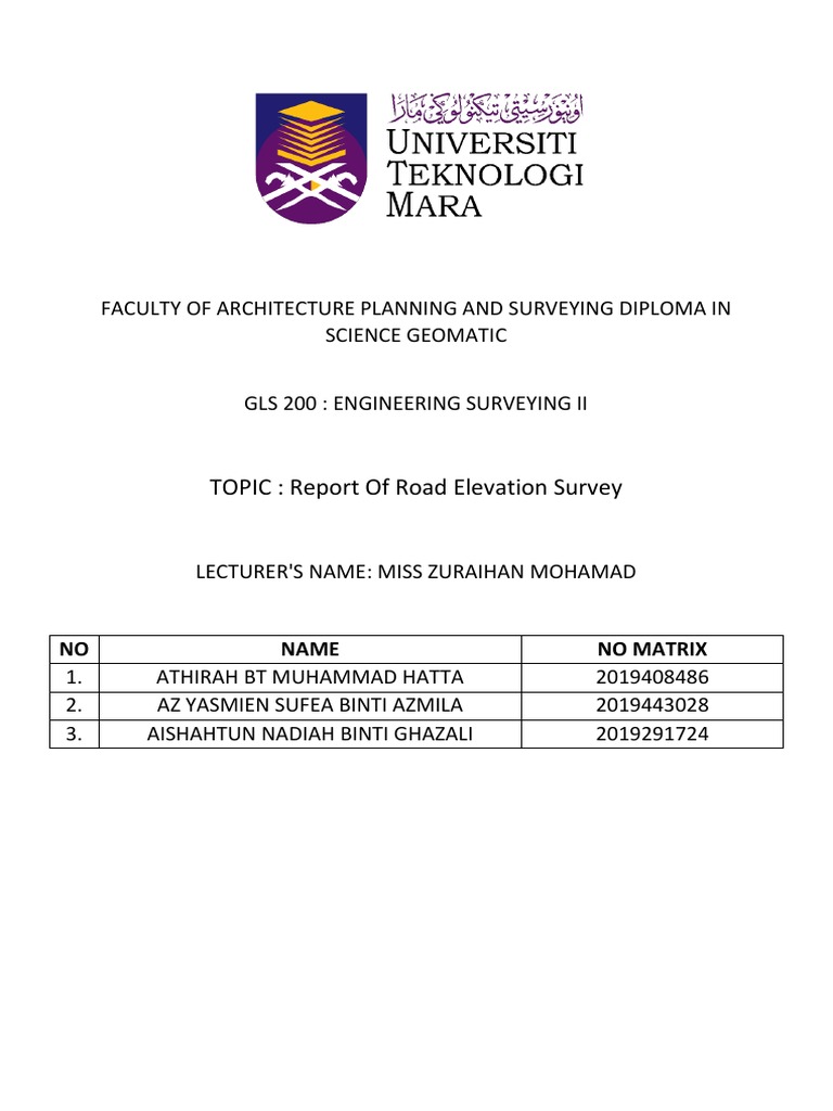Road Elevation Survey | PDF | Surveying | Metrology