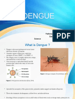 Dengue: Fathima Nafla Shafi Batch 14-Biomedical Science